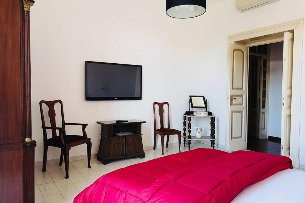 St. Peter Luxury Home — Photos 2